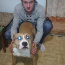 Молодой парень, студент. Ищу девушку для секса в Туле Молодой парень, студент. Ищу девушку для секса в Туле